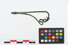 Foto von Bronzeschlangenfibel (NHMW-PRAE-024678)